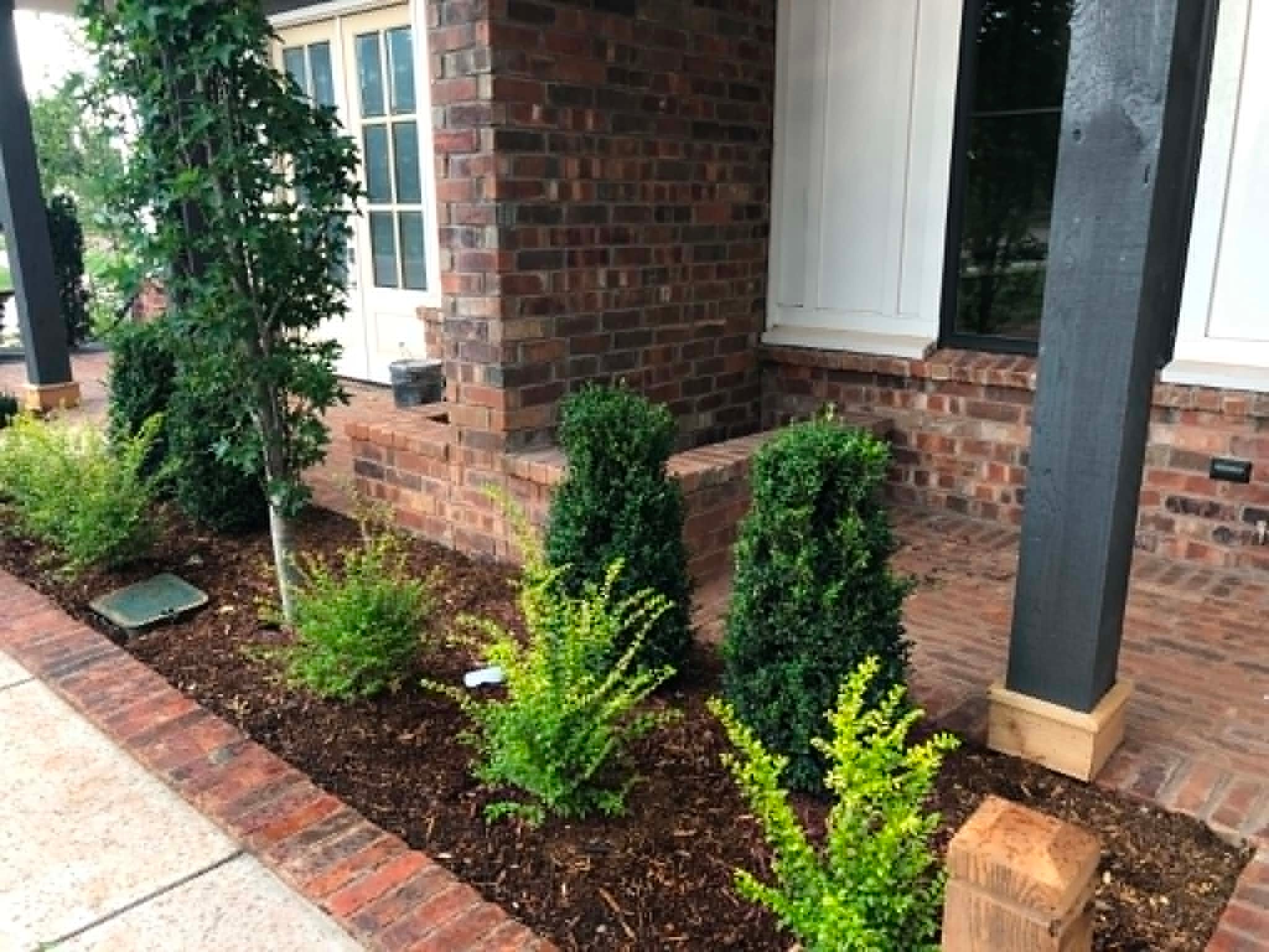Brick home entrance with boxwoods, ornamental trees, and mulched planting bed